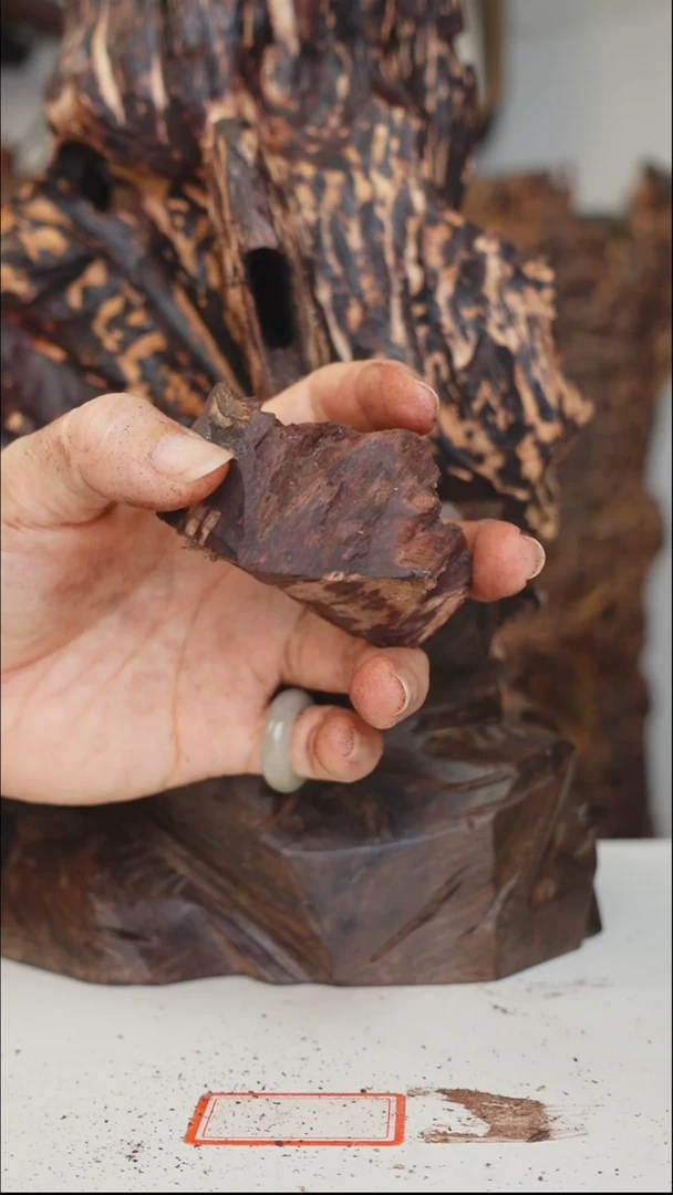 木本降真香海南红降原料随形手把件满油脂