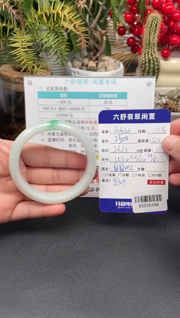未镶嵌手镯翡翠?****✨D2525446