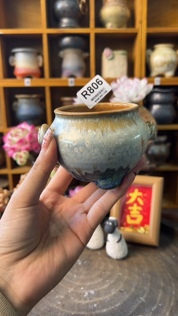 樾806【多肉花盆多肉盆】