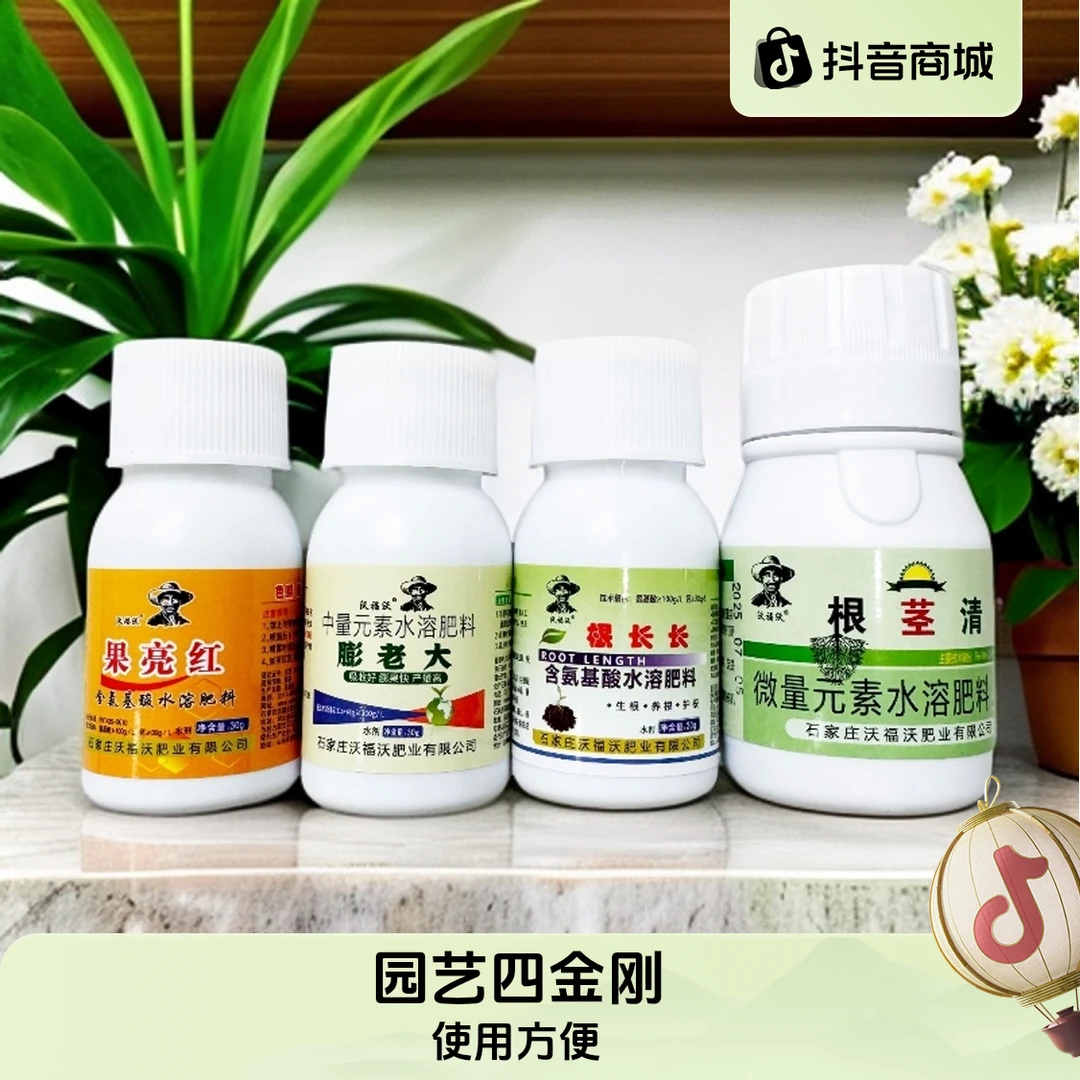 沃福沃园艺四金刚膨果着色增甜生根液有效防治根系病害