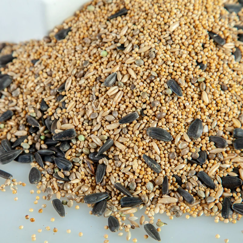 玄凤鹦鹉虎皮类牡丹类专用混合谷类鸟粮