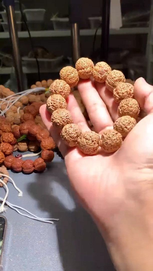 金刚菩提手串814