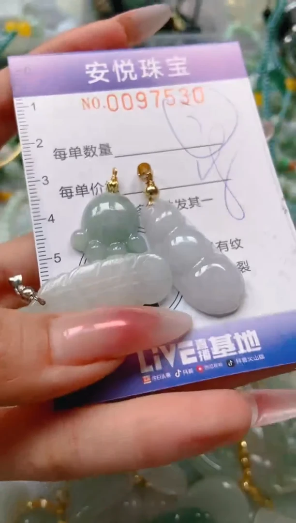 【闪购商品】翡翠颈饰未镶嵌闪购0097530