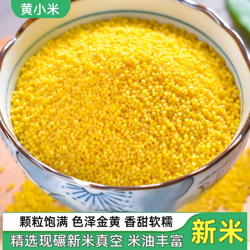 优质黄金小米粗粮2025新米营养五谷杂粮米油多鲜香软糯