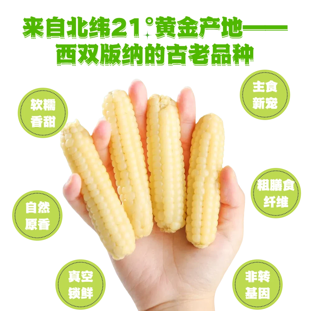 云南西双版纳批发小玉米宝宝软糯香甜拇指批发小玉米