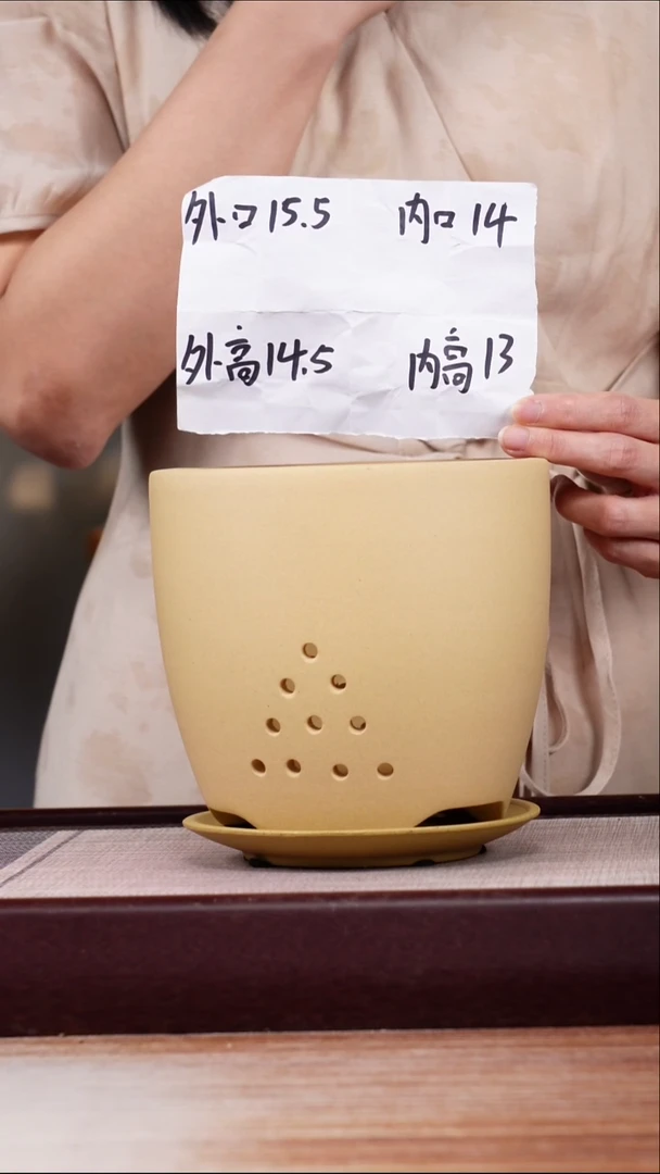 紫砂花盆段泥素面君子兰2号一只带托