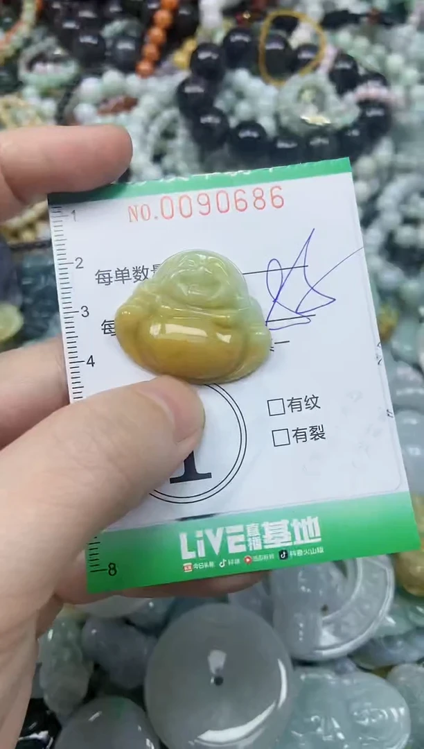 颈饰未镶嵌翡翠闪购0090686