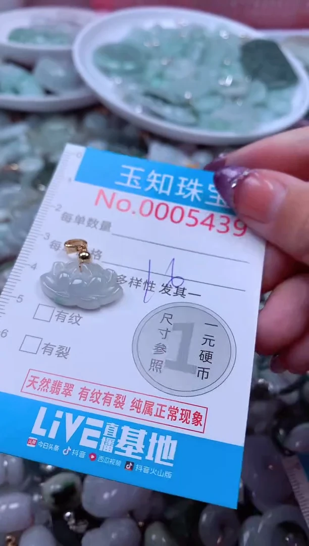 翡翠未镶嵌吊坠(不含链)5439