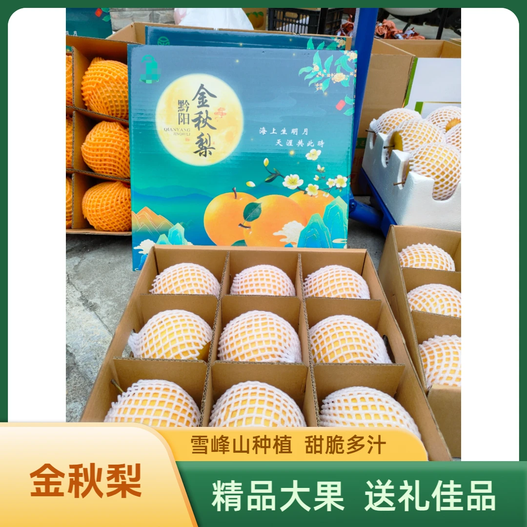 金秋梨湖南雪峰山脆甜多汁非秋月梨高山自然成熟孕妇无添加健康