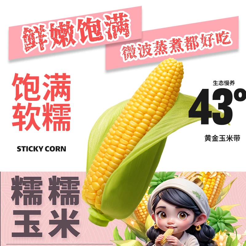 东北粘糯玉米粗粮代餐送2根试吃8根1箱装