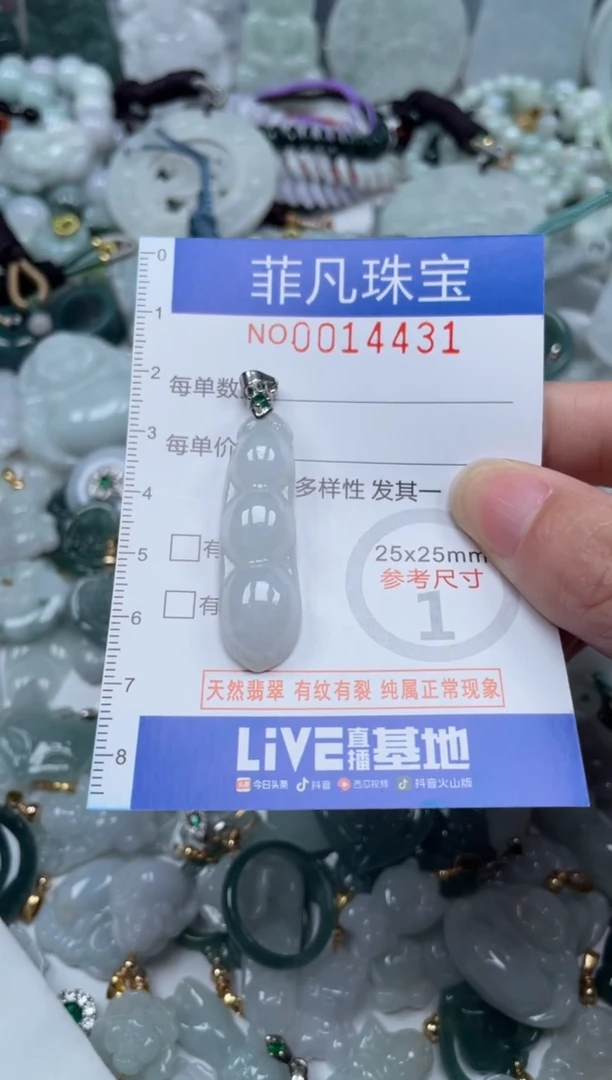 颈饰未镶嵌翡翠14431