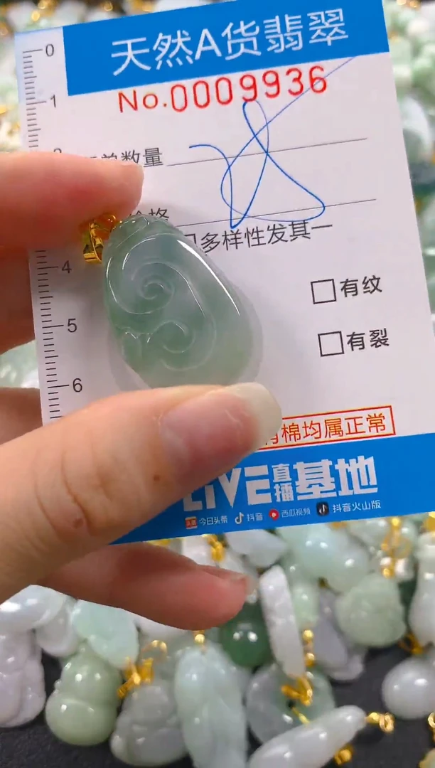 颈饰未镶嵌翡翠净货挂件-9936