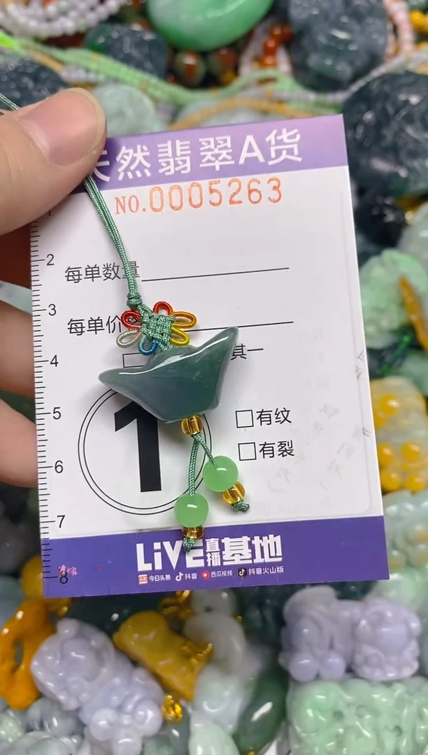 颈饰未镶嵌翡翠0005263