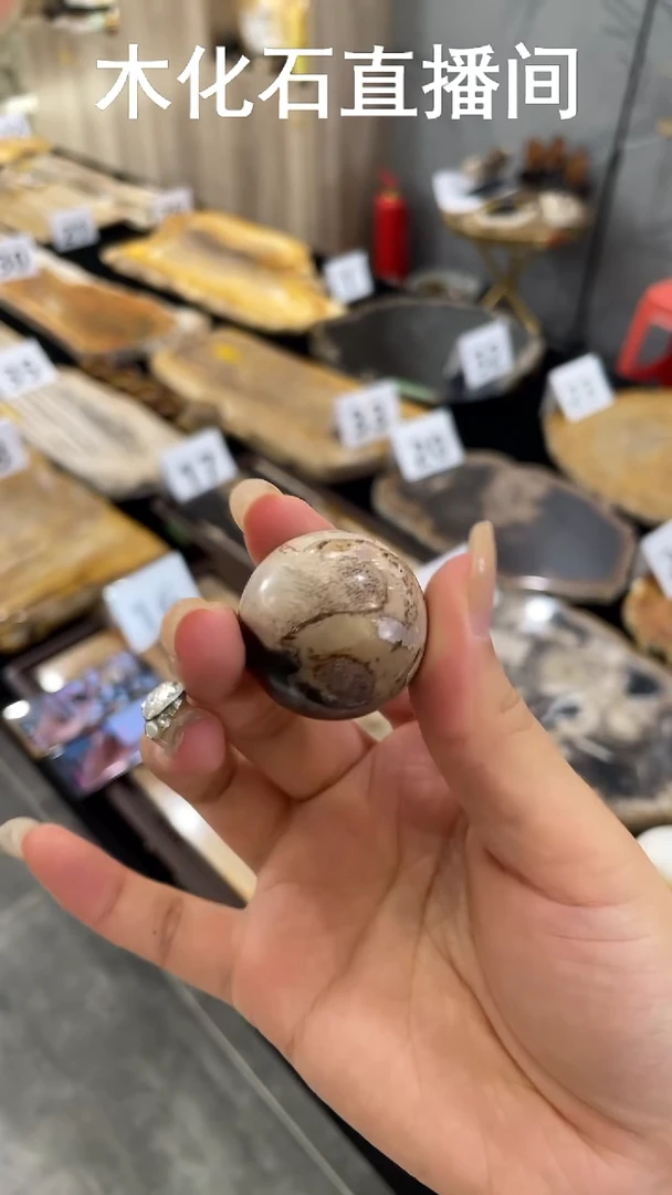 石材内**独螺化石加小球（1）