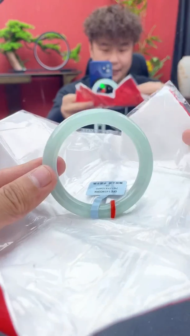 未镶嵌手镯翡翠12