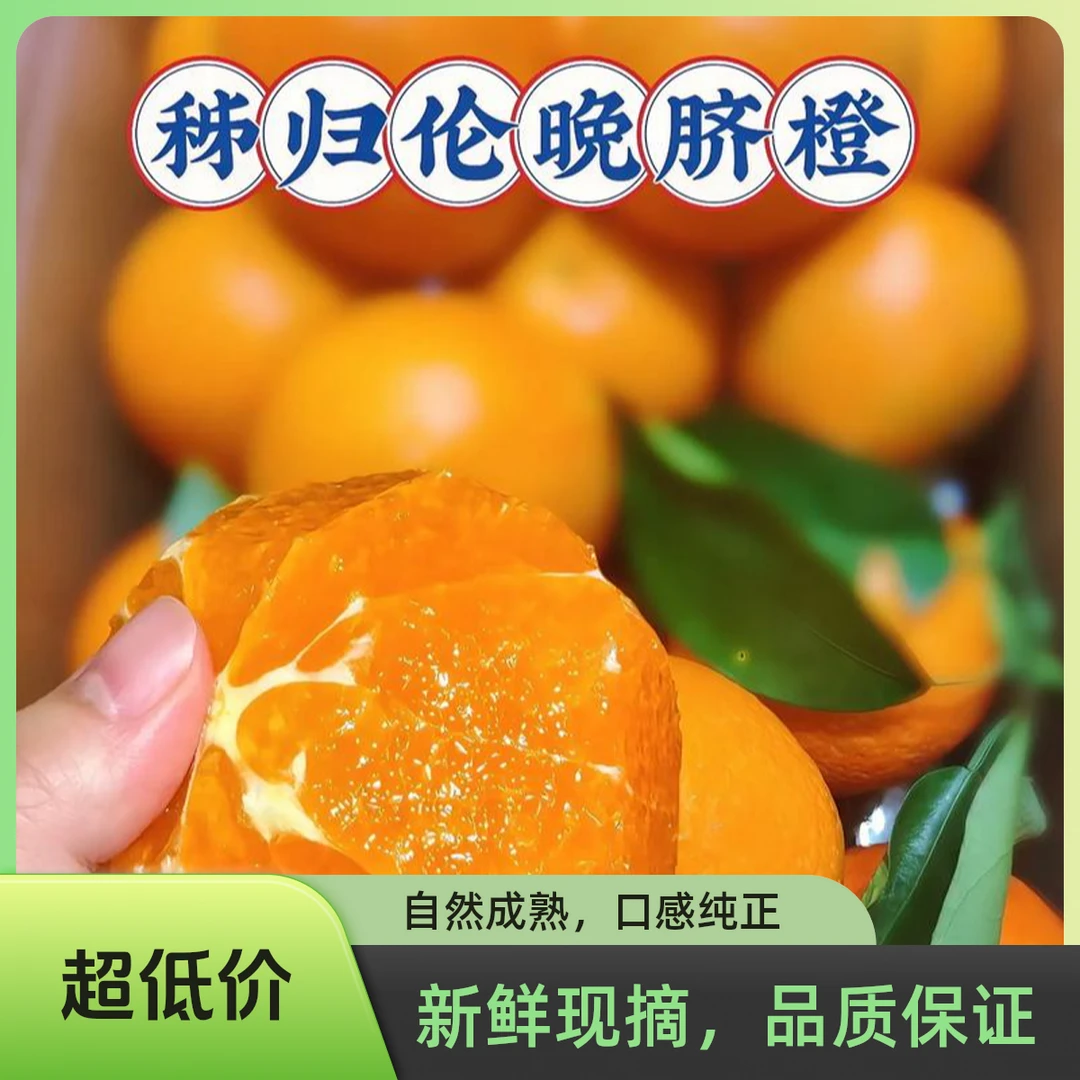 【产地直发】湖北秭归伦晚脐橙三峡春橙孕妇水果带箱5斤包邮
