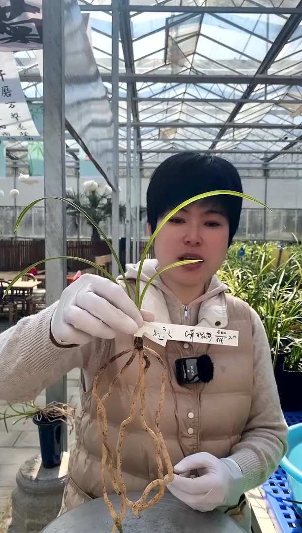 【闪购商品】赤水红荷钓鱼人