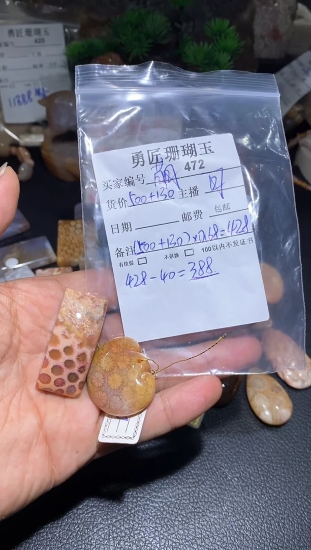 【闪购商品】硅化玉颈饰未镶嵌472