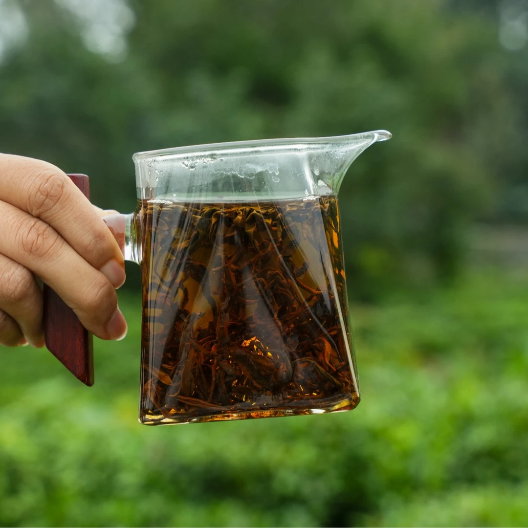 【白露红茶】蜜甜花果香薯香/甘甜顺滑柔和耐冲泡/日照红茶新茶