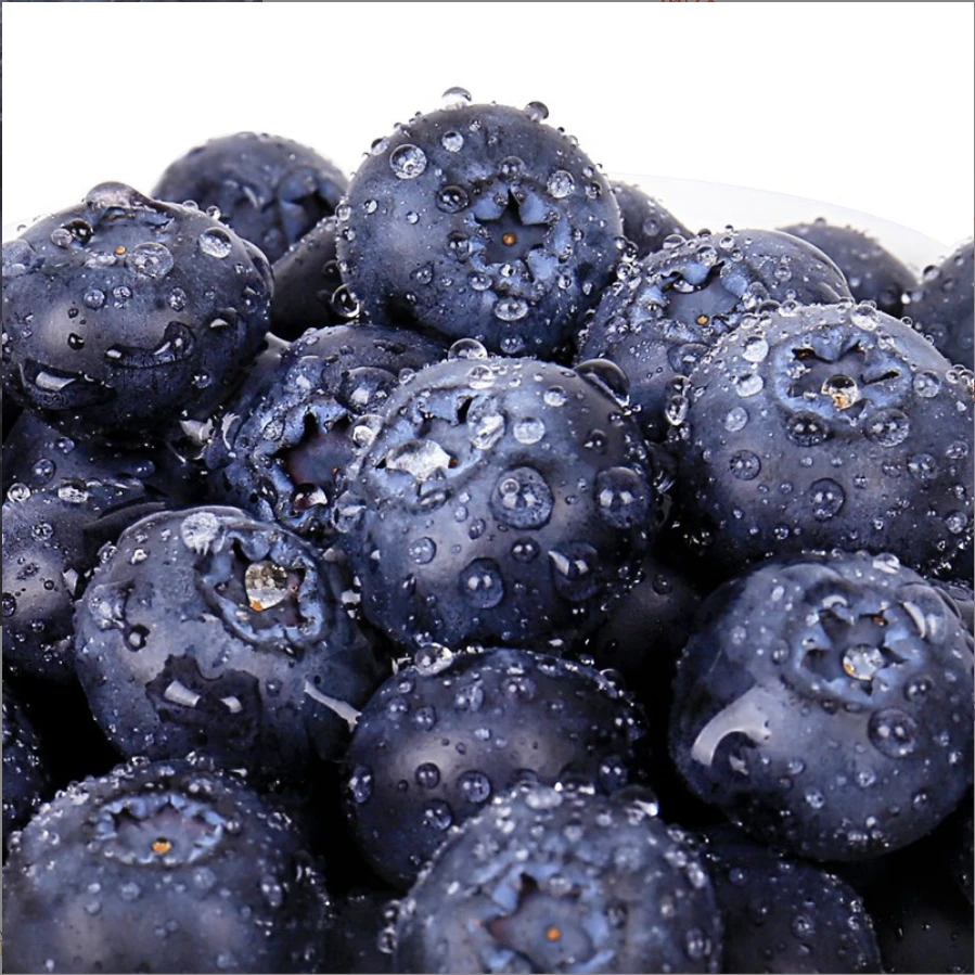 【dm】云南高山蓝莓鲜果礼盒现摘新鲜脆甜花香蓝莓大果