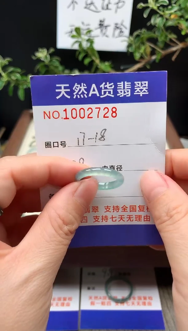 未镶嵌戒指翡翠17-18#