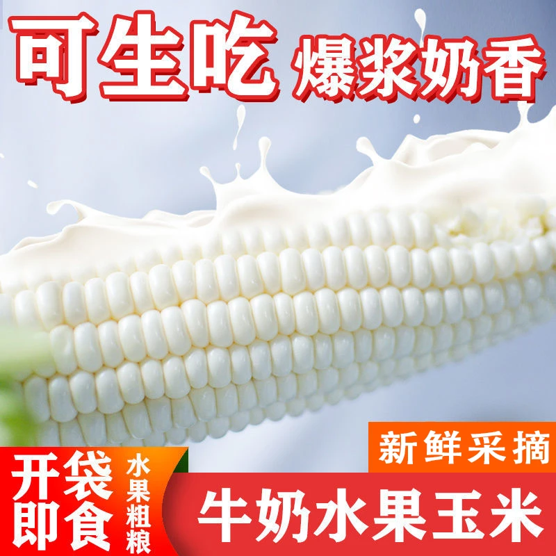 【可生吃】顺丰冷链网红牛奶水果玉米新鲜玉米即食甜玉米代餐免煮