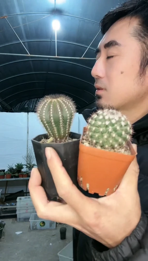 【闪购商品】筐拍 4号 尤伯球加地久丸