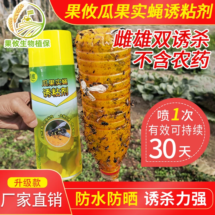 果攸诱粘剂粘蝇纸瓜实蝇果树蔬菜针蜂果实蝇果蝇黄板
