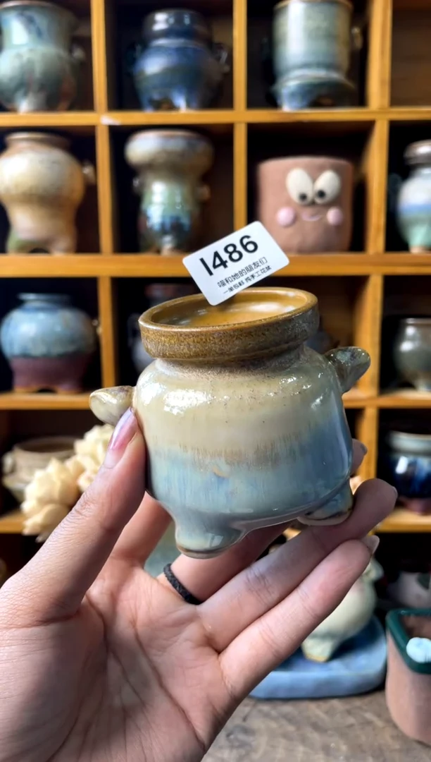 486内口4【多肉花盆多肉盆】