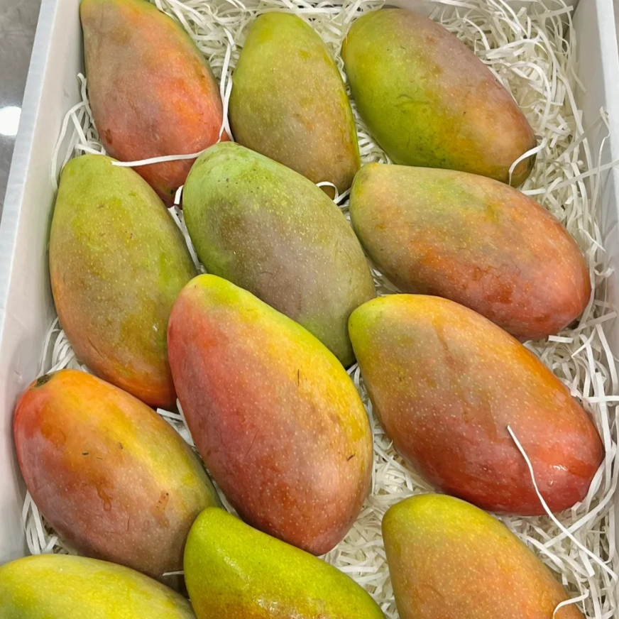 【贵妃芒 】510-550g让人食欲大震的卖相