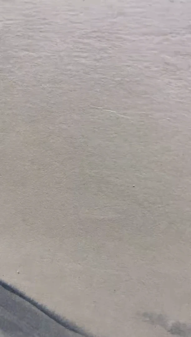 【闪购商品】国画郑乐华绘画作品22-24