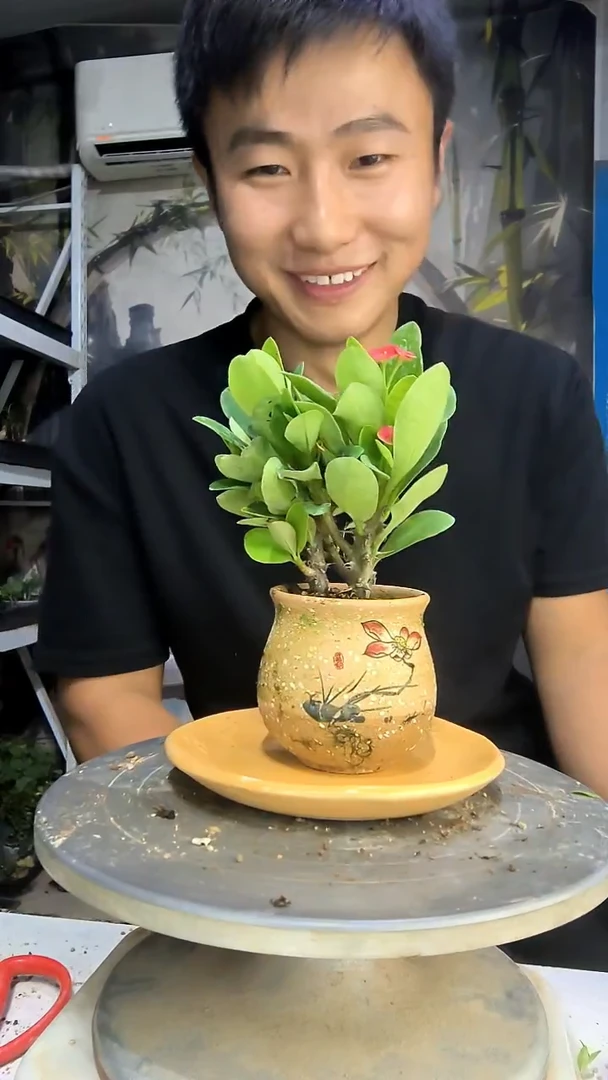 赵**?中青园艺一物一拍166