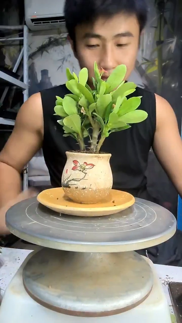 起**?中青园艺一物一拍148