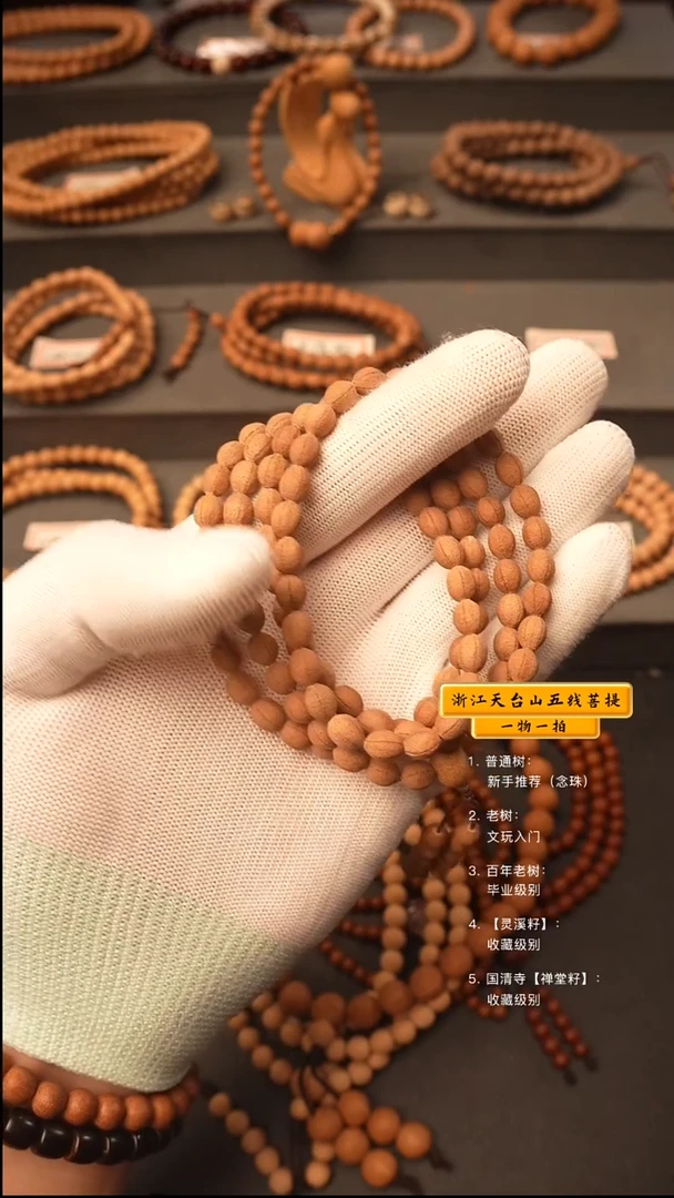 吊坠五线菩提H****密脖挂