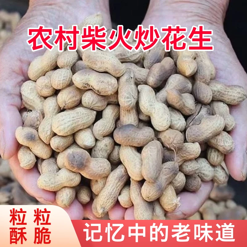 【25年新花生】大铁锅柴火炒花生原味花生带壳花生