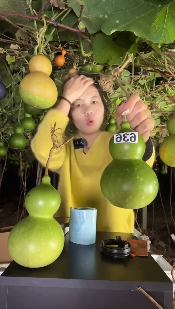 菜*子636天然葫芦摆件 一物一拍龙头不保售后