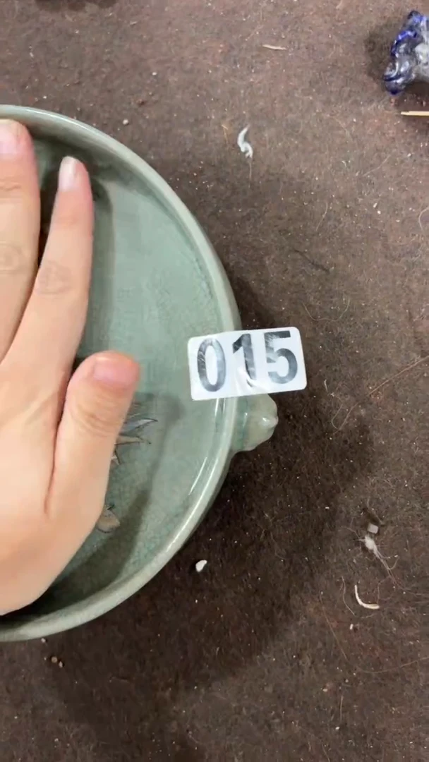 瓷片可**贝一单一个·
