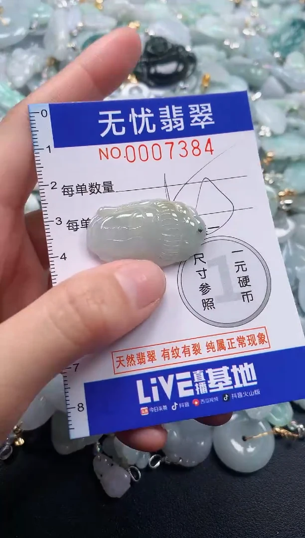 颈饰未镶嵌翡翠7384