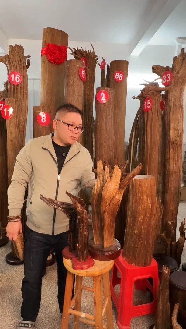 沉香摆件胡*树沉香原料6