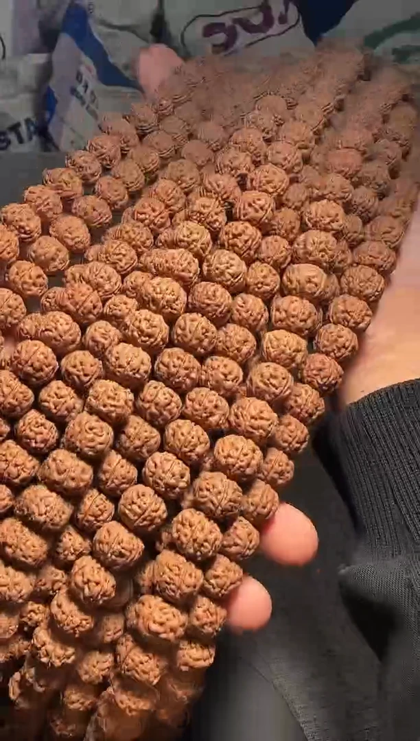 手串金刚菩提非全品超头精挑老树王108-13mm