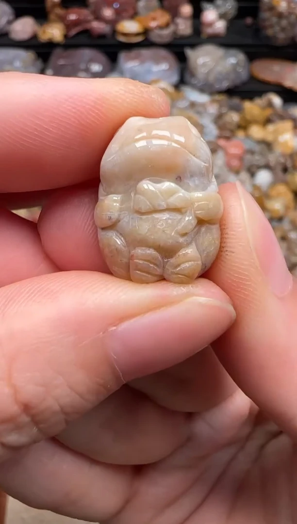 硅化珊瑚(珊瑚玉)未镶嵌颈饰025