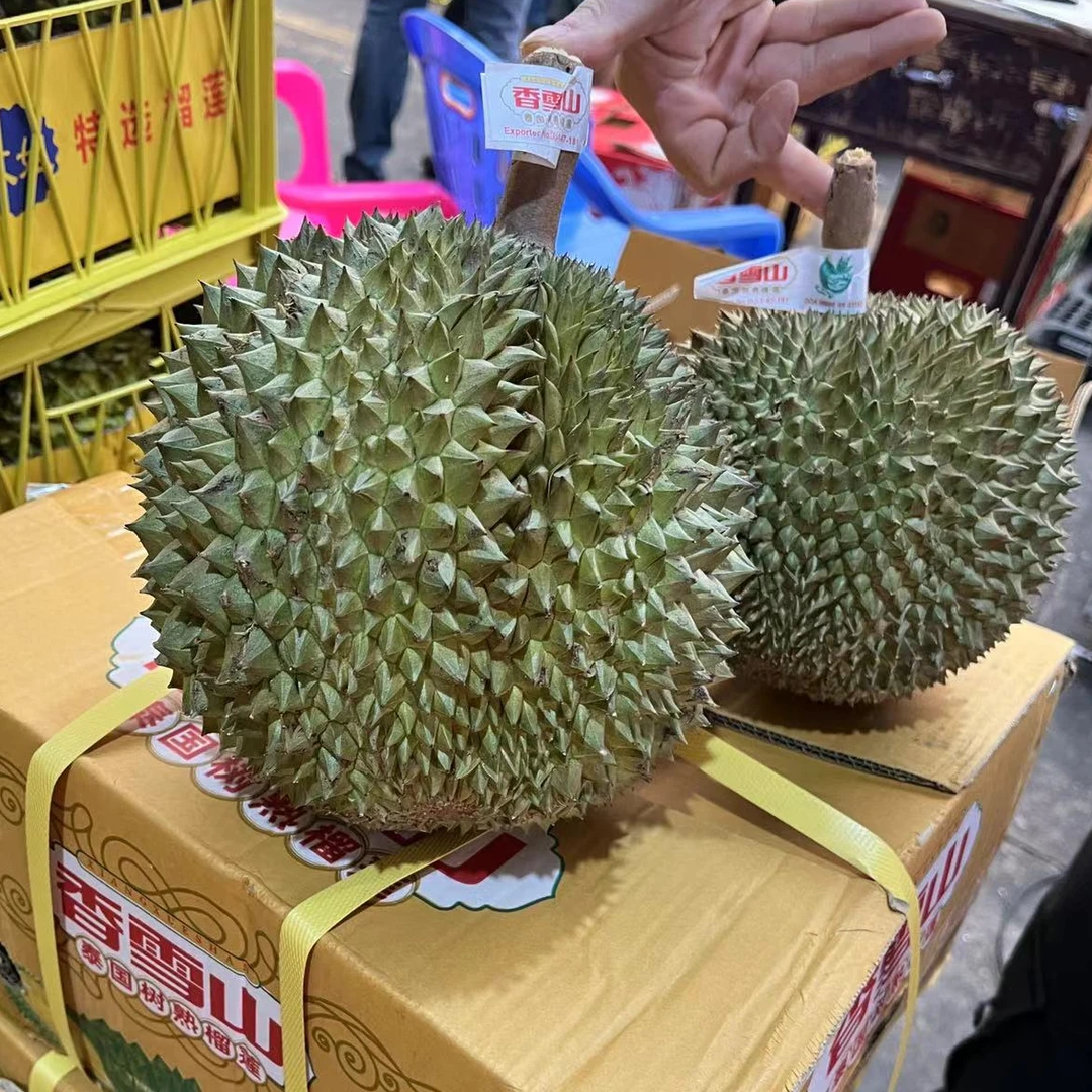 泰国长柄猫山王榴莲4斤一物一拍实际称重鲜榴莲核大长柄泰国