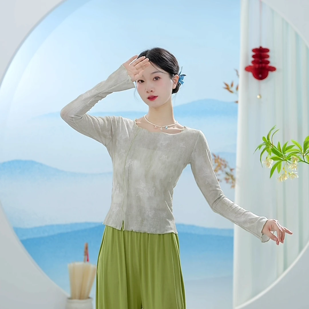 3533 D现代舞蹈服成人女上衣练功专业形体古典教师专用遮肉显瘦