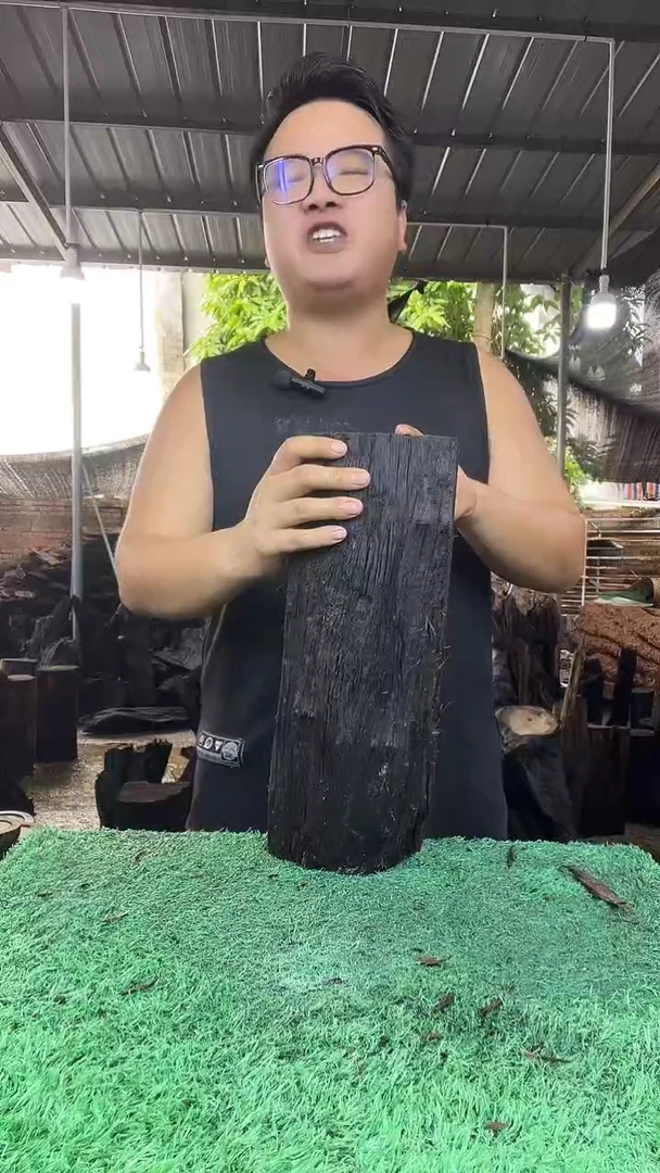 金丝楠小叶桢楠128