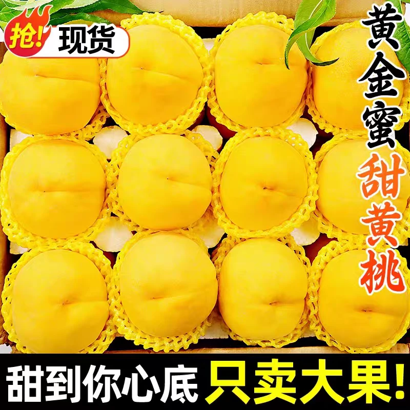 【产地直发】正宗黄金蜜桃毛桃大果脆甜时令应季脆桃子孕妇水果包邮