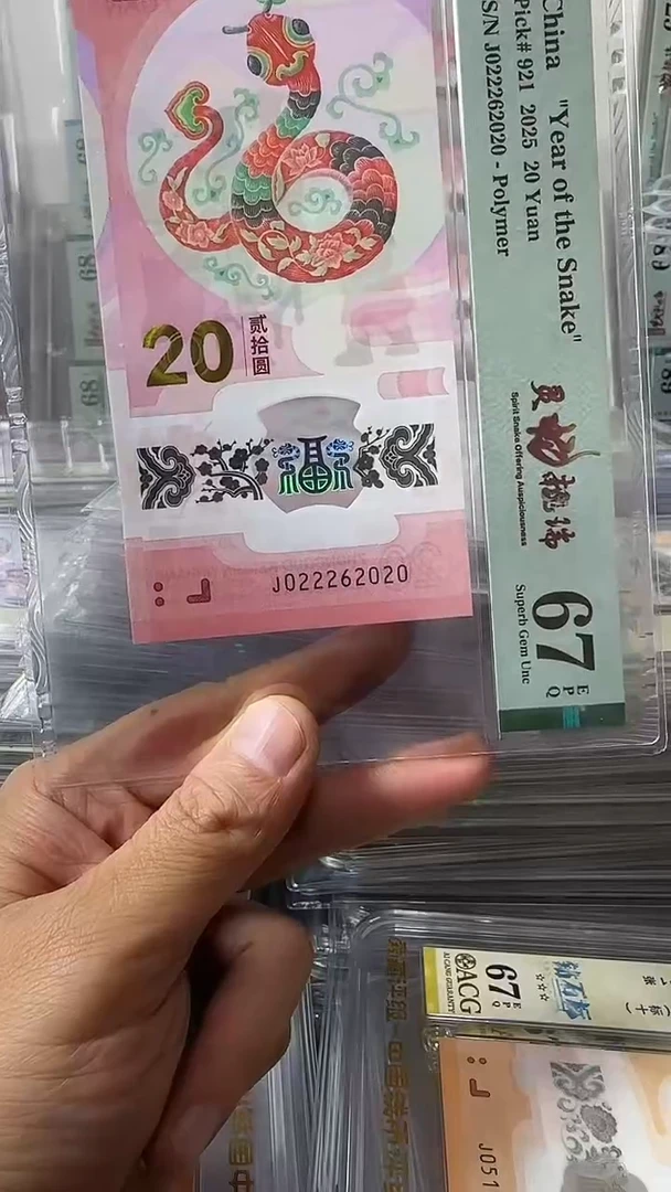 塑料022262020蛇钞单张