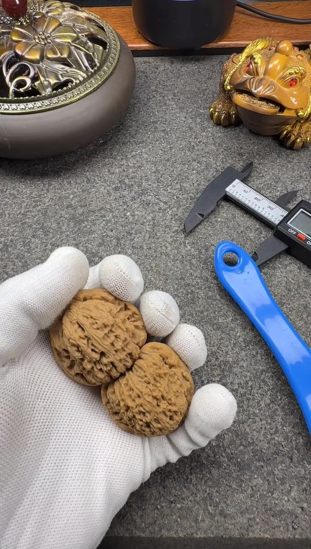 麻核桃文玩南疆石