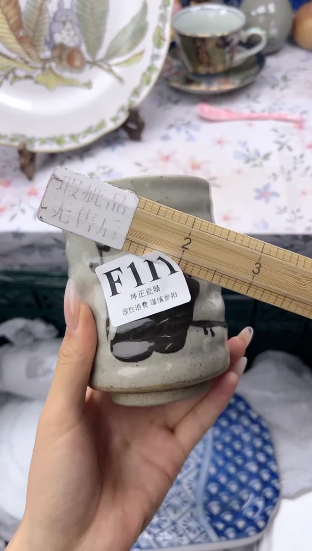 瓷片       F111