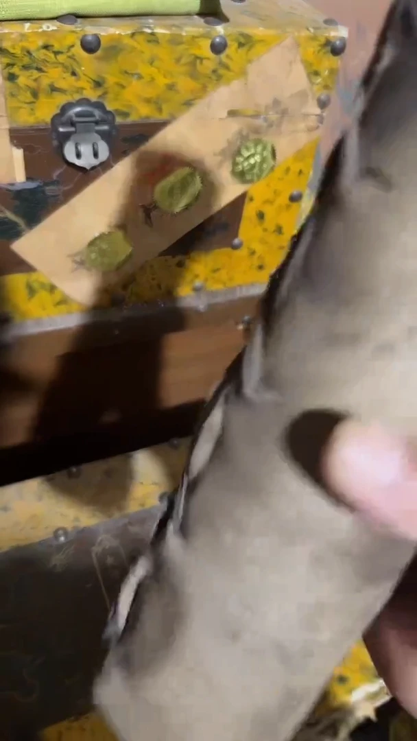 木闪电购链接精品摆件小牛