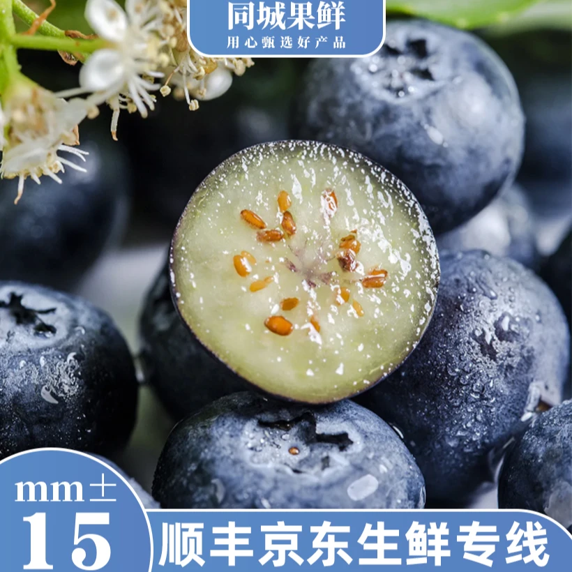 大果15mm+云南花香脆甜蓝莓新鲜应季水果顺丰京东冷链